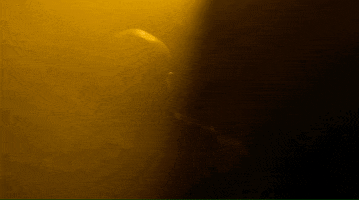 GIF by Because Science