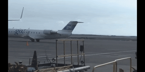 Awkward Travel GIF by DIIMSA Stock