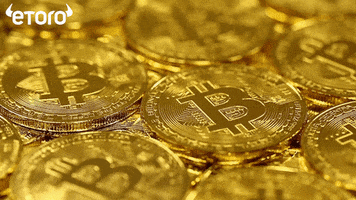Bitcoins Buy Bitcoin GIF by eToro