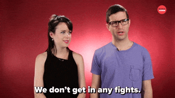 We Don't Get In Any Fights