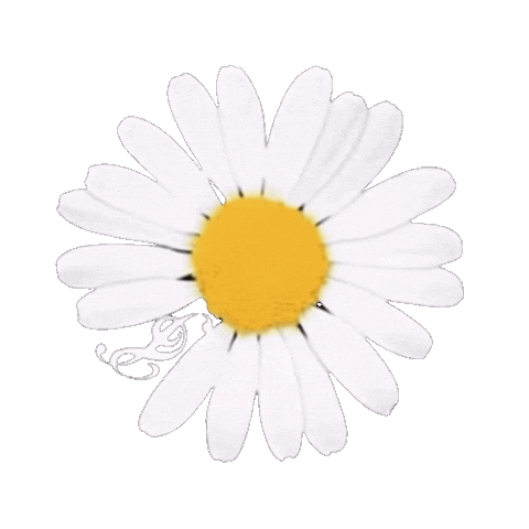 Peaceminusone Pmo Sticker