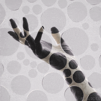 Black And White Art GIF by Pi-Slices