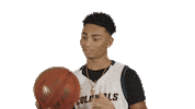 Basketball College Sticker by WCSU
