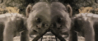 Potaytoes GIF by hero0fwar