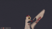 mlb GIF by SB Nation