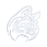 Iwuwildcats Sticker by Indiana Wesleyan Athletics