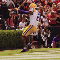 College Football GIF by LSU Tigers