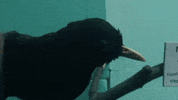La Salle Art GIF by jorgemariozuleta