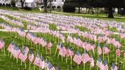 American Flag Go Dukes GIF by James Madison University