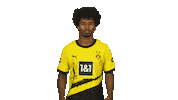 Loving I Love You Sticker by Bundesliga