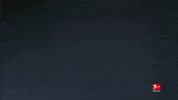 Happy Bayer 04 GIF by Bundesliga