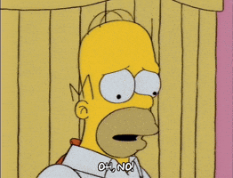 Season 5 Facepalm GIF by The Simpsons