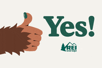 Yas Yes GIF by REI