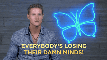 fox tv GIF by Paradise Hotel