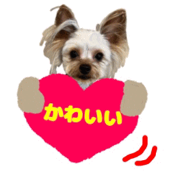 かわいい Sticker