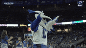 Billy Bluejay GIF by Creighton University Athletics
