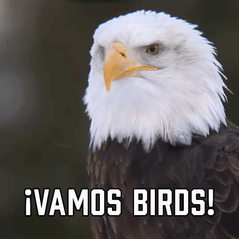 ยกVamos Birds!