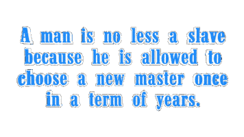 Politics Punk Sticker