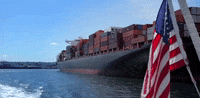 washington seattle GIF