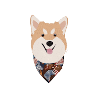 Dog Pet Sticker