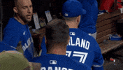 Blue Jays Baseball GIF by Toronto Blue Jays