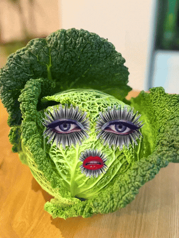 Cabbage Wirsing GIF