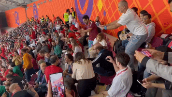 Morocco Fan Proposes During Third-Place Playoff Match