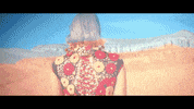 Music Video Turkey GIF by Ultra Records