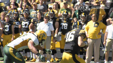 north dakota state football GIF by NDSU Athletics