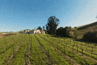 Real Estate Home GIF by Aerial Canvas