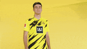 Come On Please GIF by Bundesliga