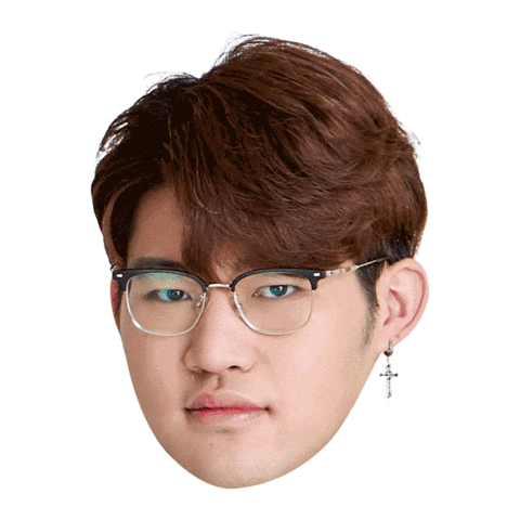 Fw Flashwolves Sticker