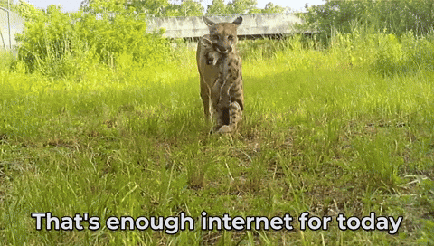 Im Out Too Much GIF by U.S. Fish and Wildlife Service