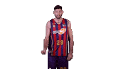 Liga Endesa Yes Sticker by ACB