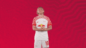 Oh Yeah Yes GIF by RB Leipzig