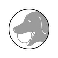 givethedogaball catch fetch dog ball give the dog a ball Sticker