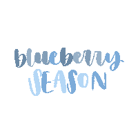 lululetter blueberry lululetter berry season Sticker