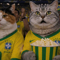 World Cup Popcorn GIF