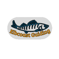 Zander Sticker by Elbcoast Guiding