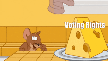 Tom & Jerry gif. Jerry the Mouse jumps for joy on a kitchen counter before running over to a large chunk of Swiss cheese and embracing it fondly, closing his eyes in bliss. Jerry is labeled "Me," and the cheese is labeled, "Voting rights."