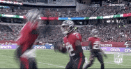 Atlanta Falcons Football GIF by NFL