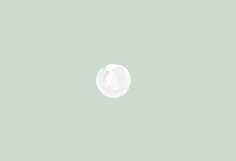GIF by Studio Erika