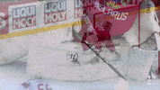 GIF by International Ice Hockey Federation