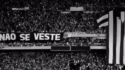 GIF by Botafogo