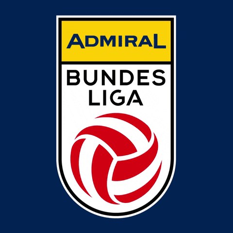 Logo Bundesliga GIF by ADMIRAL