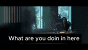 New Zealand Kiwi GIF by End Of The Valley