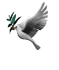 3D Bird Sticker
