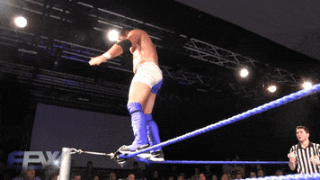 epw moonsault GIF