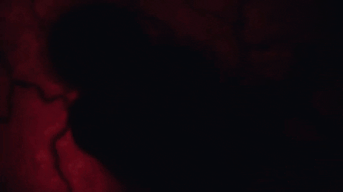 annakerepeczki giphyupload GIF