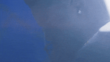 Go Blue Michigan Football GIF by Michigan Athletics